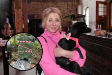 Anna Júlia Slováčková podľahla rakovine.