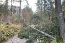 V Tatrách fúka veľmi silný teplý suchý vietor typu fén, ktorý v noci dosahoval v nárazoch rýchlosť až 130 kilometrov za hodinu. FOTO: Facebook/Tatrzański Park Narodowy