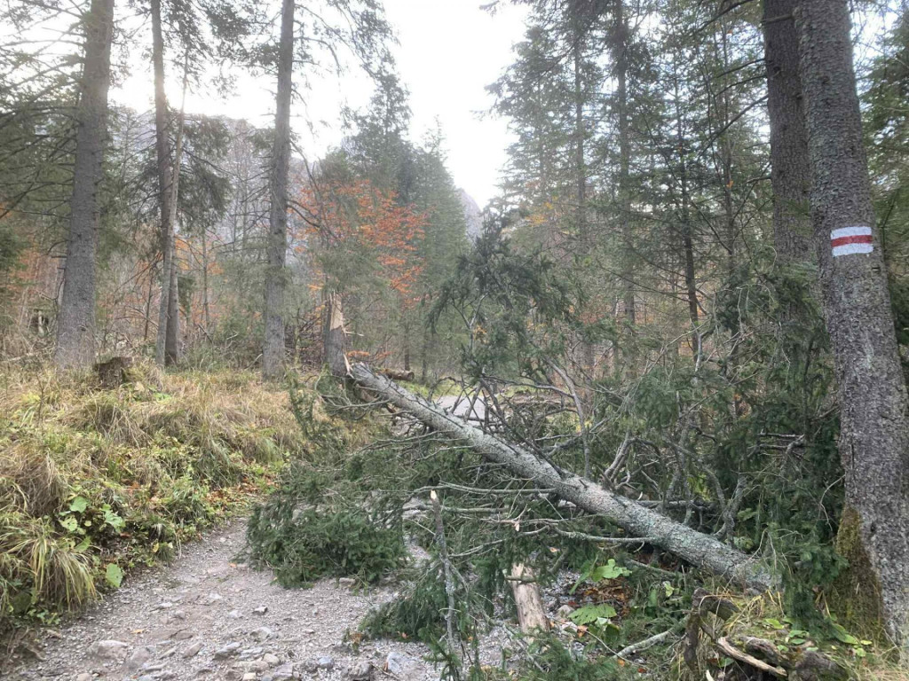 V Tatrách fúka veľmi silný teplý suchý vietor typu fén, ktorý v noci dosahoval v nárazoch rýchlosť až 130 kilometrov za hodinu. FOTO: Facebook/Tatrzański Park Narodowy