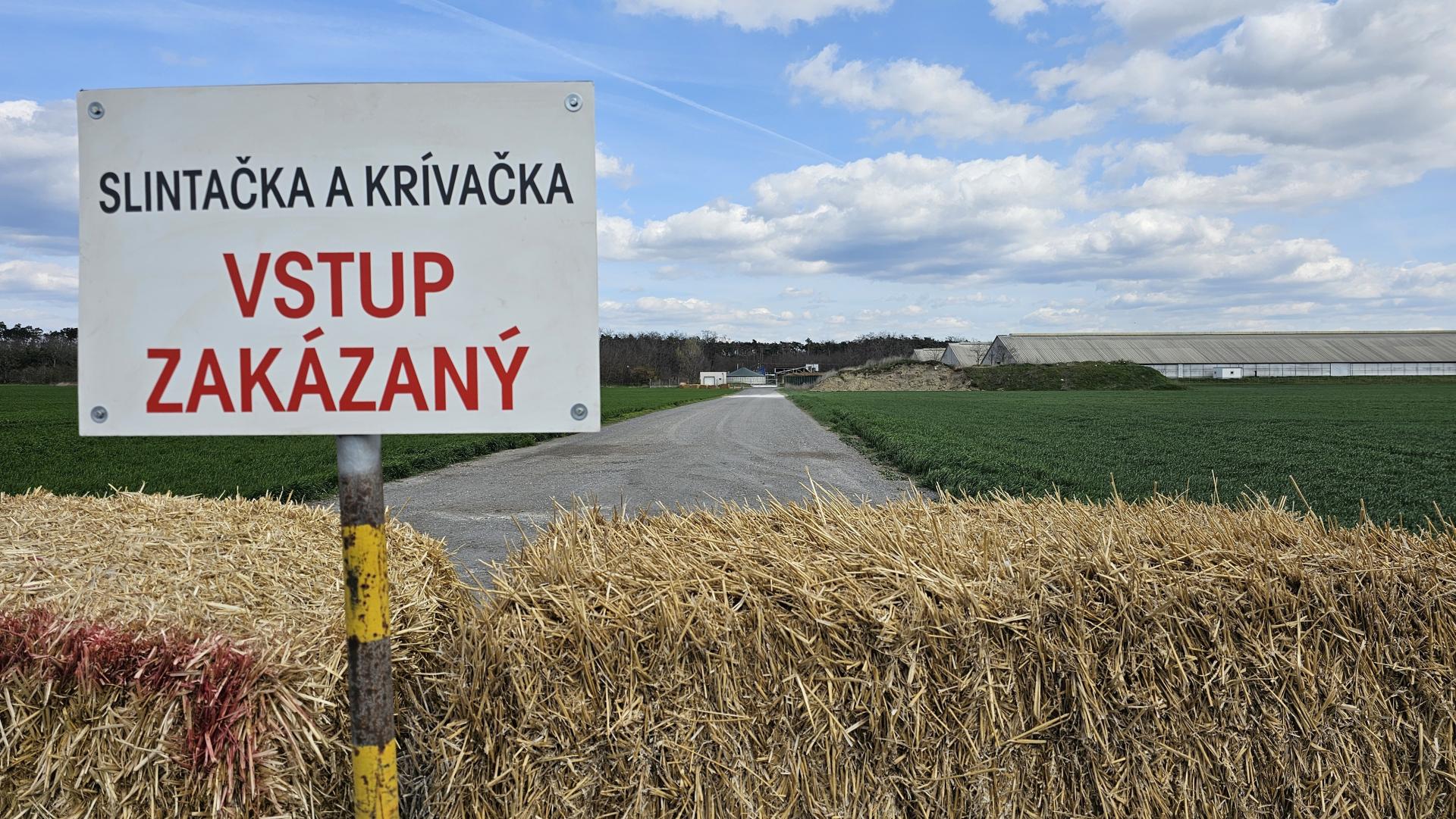 Slovensko opätovne získalo status krajiny bez slintačky a krívačky