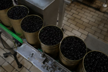 Spojené štáty, ktoré nedávno pohrozili Španielsku ďalšími clami za neochotu Madridu zvýšiť výdavky na obranu v rámci NATO, však cez víkend uviedli, že dovozné clá na olivy nemajú v pláne zrušiť. FOTO: REUTERS