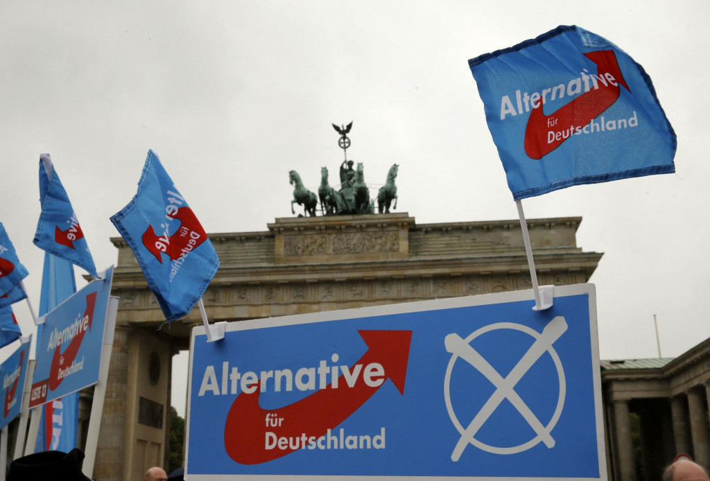 Vlajky eurokritickej strany Alternatíva pre Nemecko (AFD) držia jej podporovatelia pred Brandenburskou bránou počas volebného zhromaždenia. FOTO: Reuters