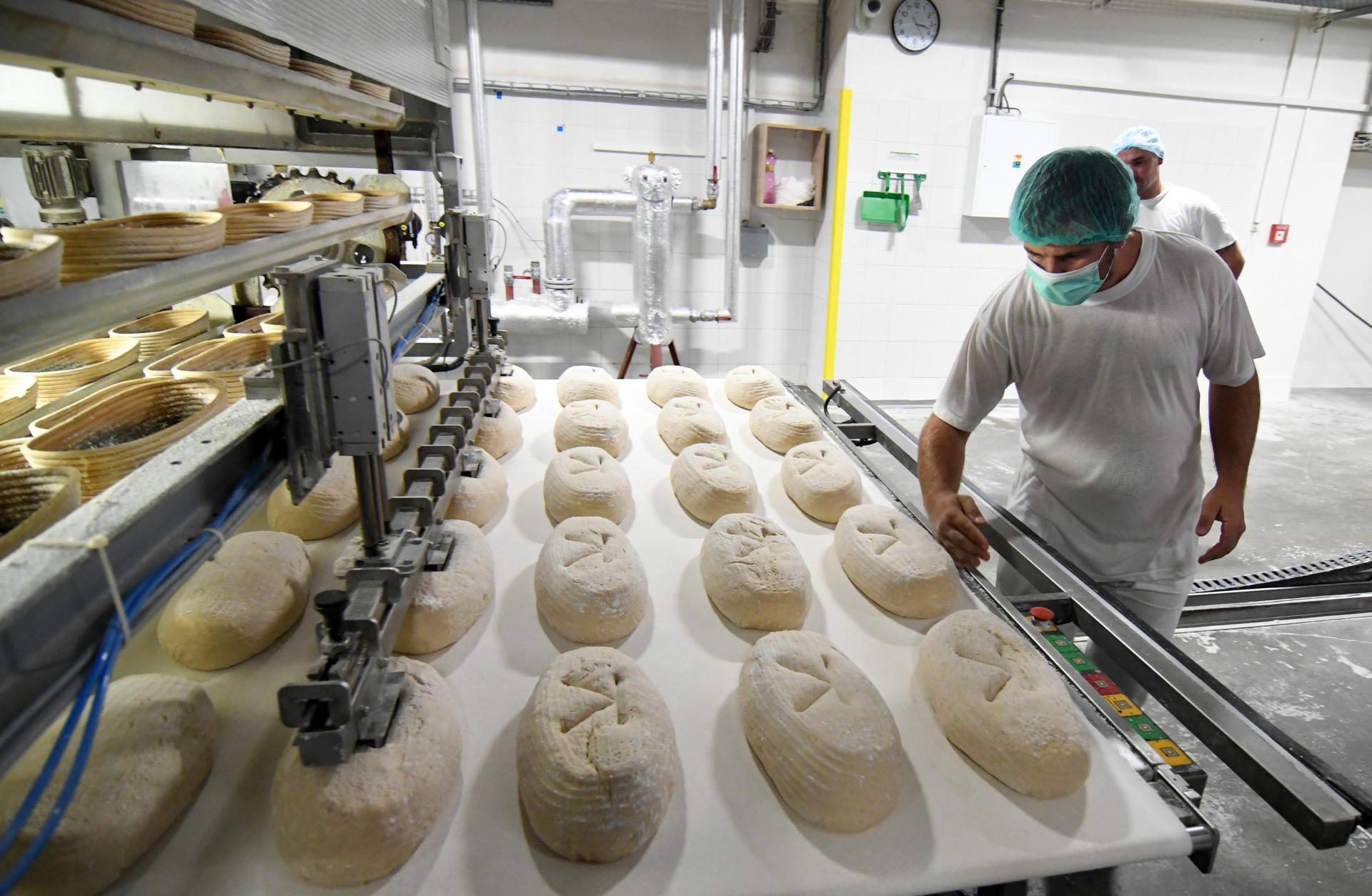 Kroky vlády zamiešajú s cenami rožkov či chleba. Pekári varujú pred dvojciferným rastom