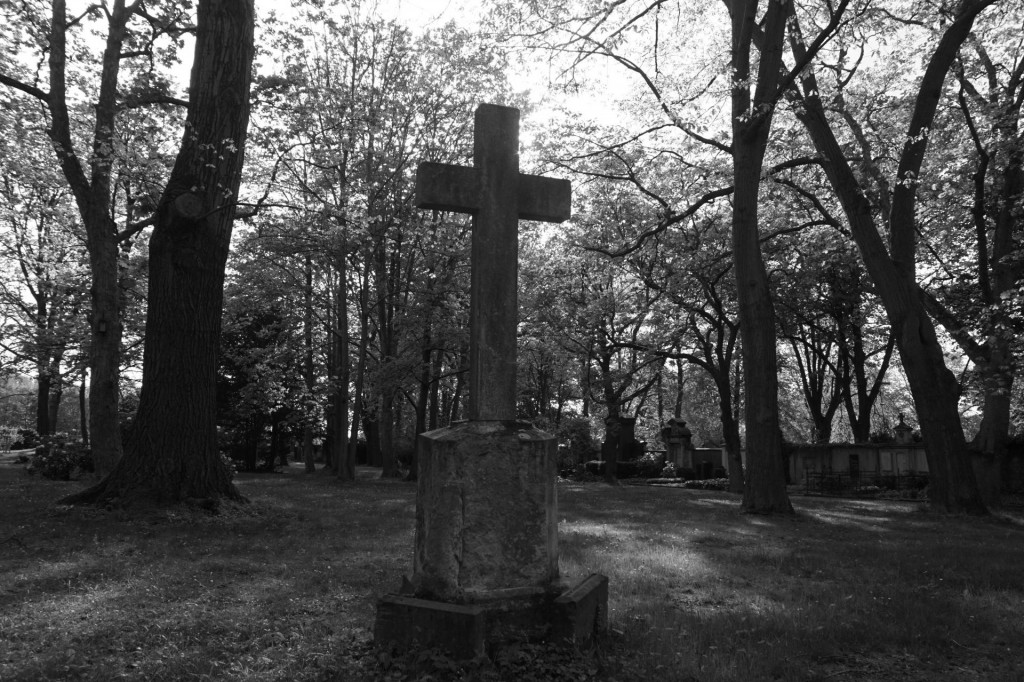 Ilustračný obrázok