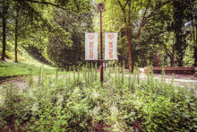 Ilustračná snímka. FOTO: Spodniaková Miroslava/MAFRA