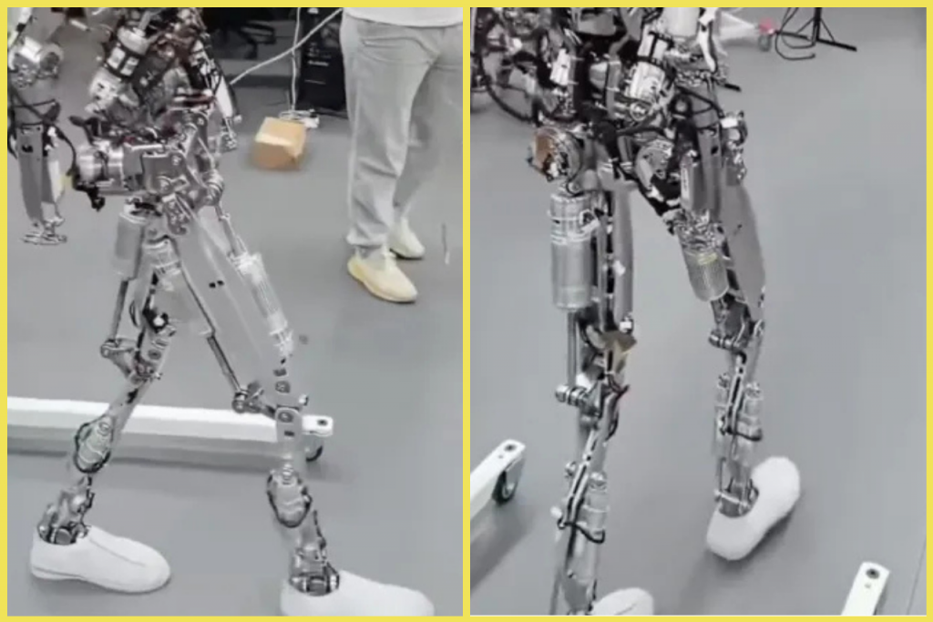 Nový humanoid of XPengu