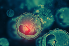 Tajný startup chce hacknúť ľudské dieťa