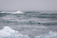 Na snímke vody Južného oceánu