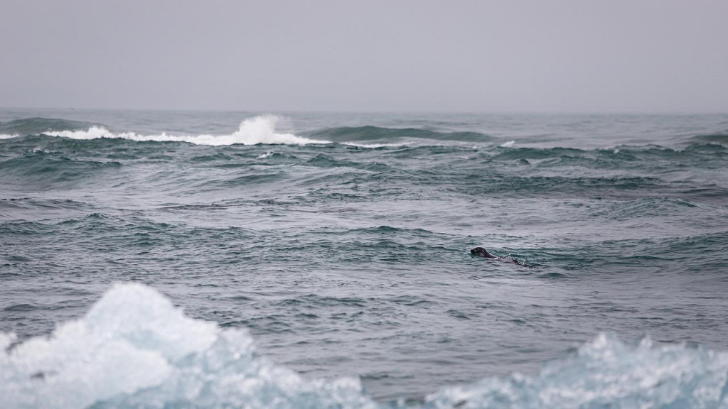 Na snímke vody Južného oceánu