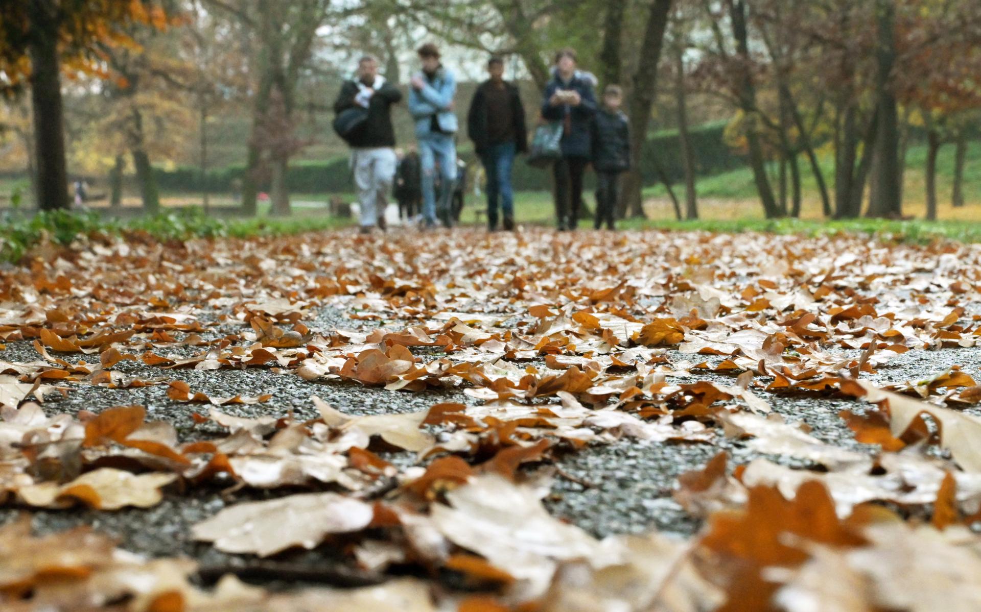 Kvíz o jeseni. Čo všetko (ne)viete o tomto ročnom období?