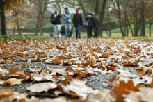 Na snímke jeseň v Barčianskom parku v Košiciach.