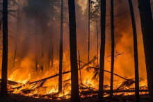 Intenzívne požiare v poslednom roku zasiahli aj bohatšie krajiny, ako sú Spojené štáty, Kanada či Grécko.
(Ilustračná fotografia) FOTO: Pixabay