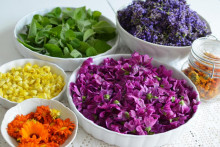 Slez maurský vám pomôže pri budovaní imunity.