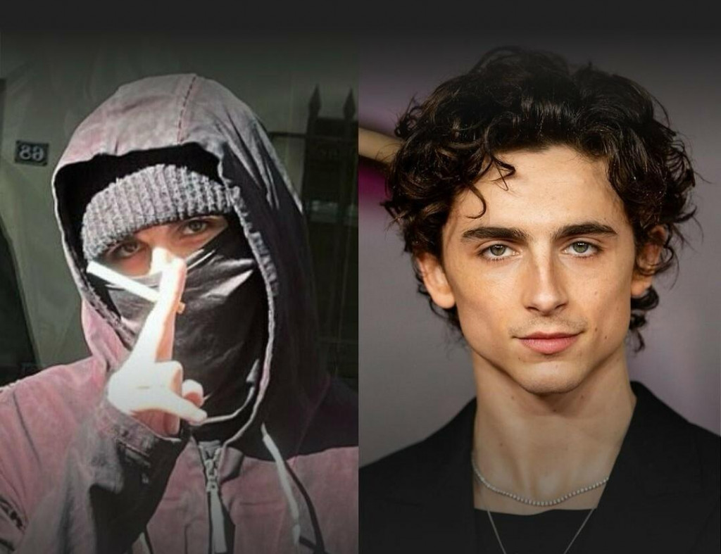 Na sieťach je nová teória o Chalametovi.