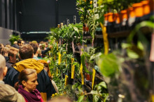 Tradičné jarmoky, adrenalín na plátne aj izbovky za euro.