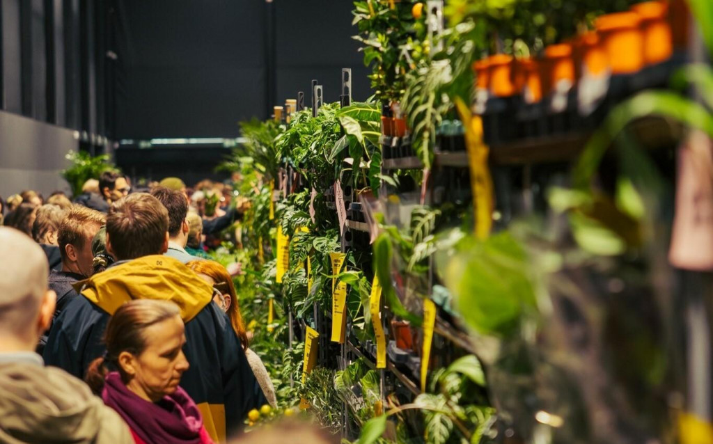 Tradičné jarmoky, adrenalín na plátne aj izbovky za euro.