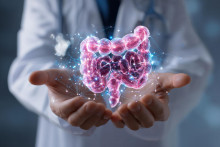 Zdrav&eacute; hrub&eacute; črevo je z&aacute;klad.