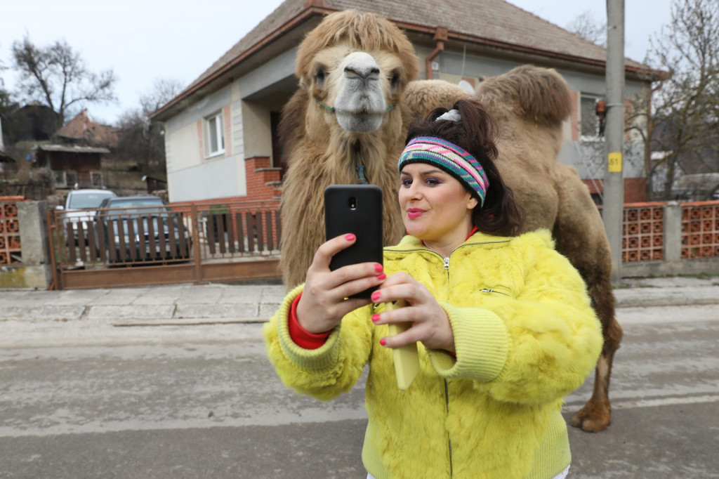 Petra hviezdila v seriáli Horná Dolná.