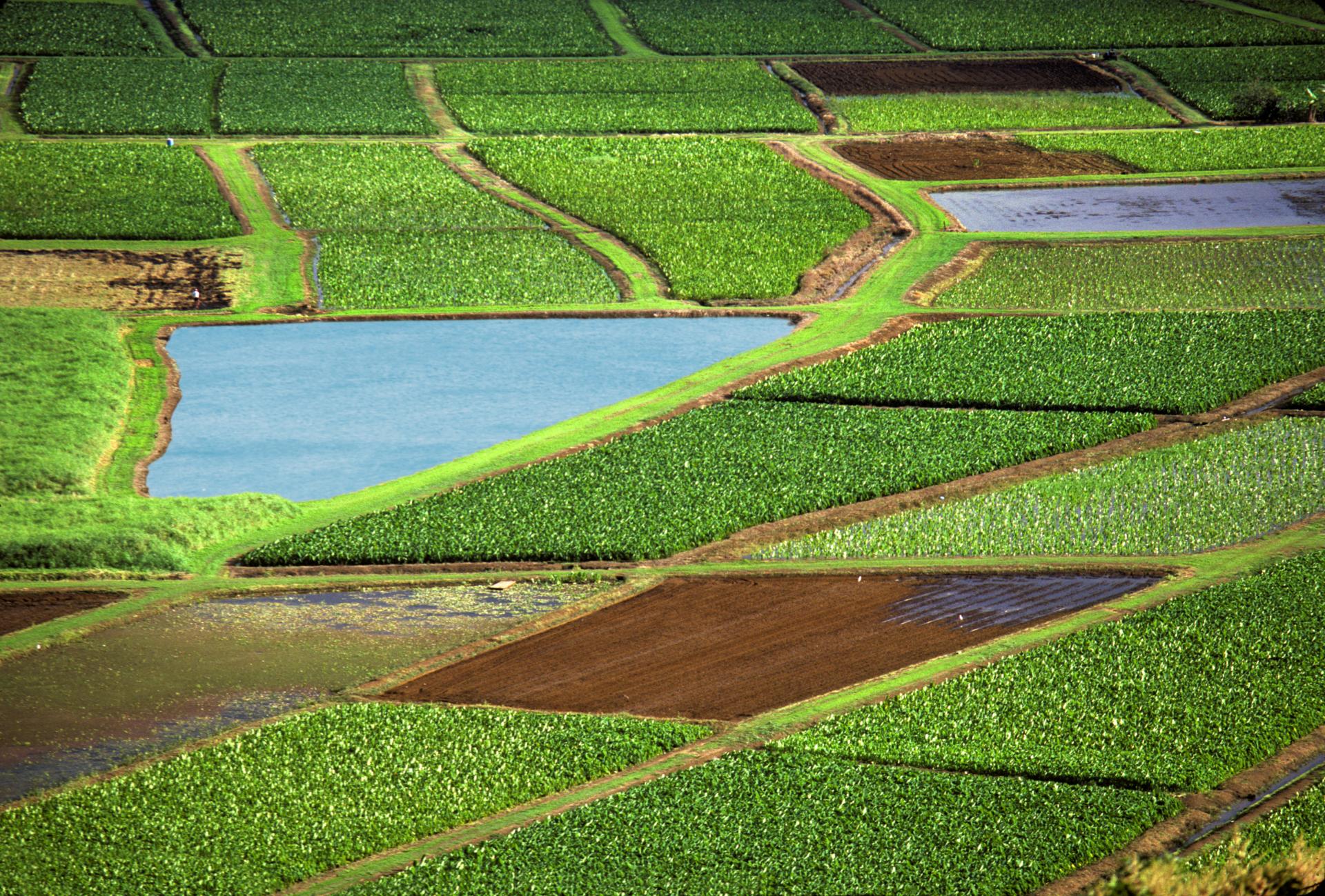 Parlament schválil reformu pôdohospodárstva: Nový register ukáže, kto a kde užíva pôdu