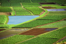 Katastrálne územia sa rozdelili na západ, stred a východ.
