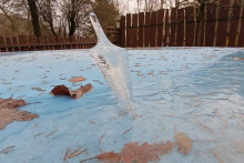 Vzácny ľadový šíp v Maďarsku