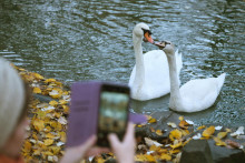 Ilustračná fotografia. FOTO: TASR/František Iván