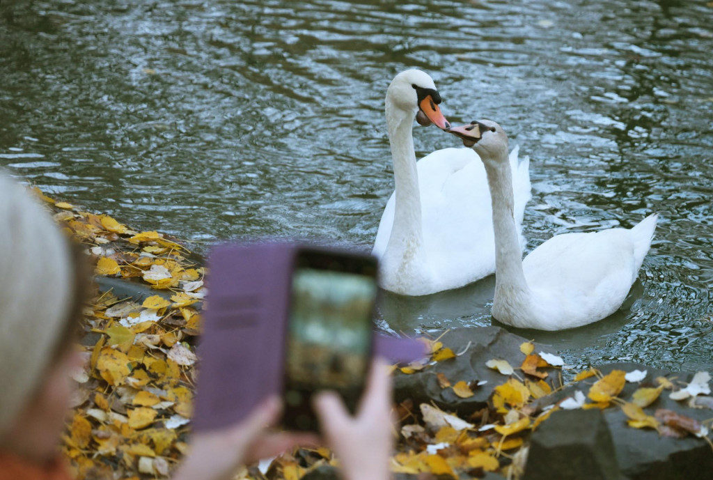 Ilustračná fotografia. FOTO: TASR/František Iván