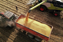 Tohtoročná kukuričná úroda patrí k najlepším za posledné roky. FOTO: Reuters