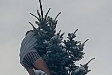 Zdrogovaný muž bol na strome celú noc