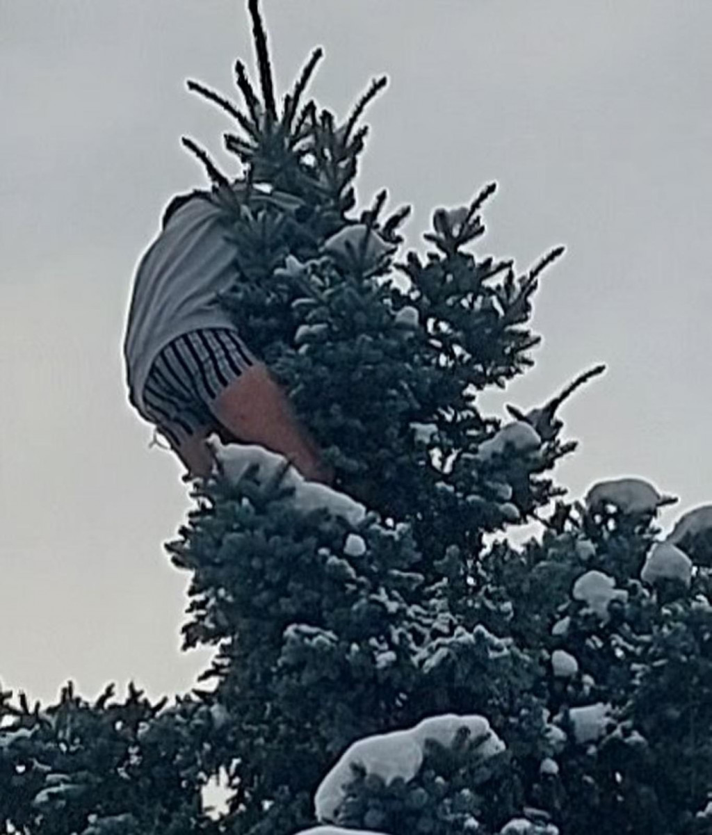 Zdrogovaný muž bol na strome celú noc