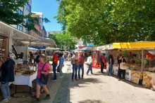 Na trhu v Bregenzi si kúpite zaručene lokálne produkty. FOTO: HN/Pavel Novotný