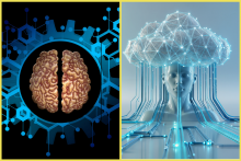 Počítače zo živých mozgových buniek sú už na ceste