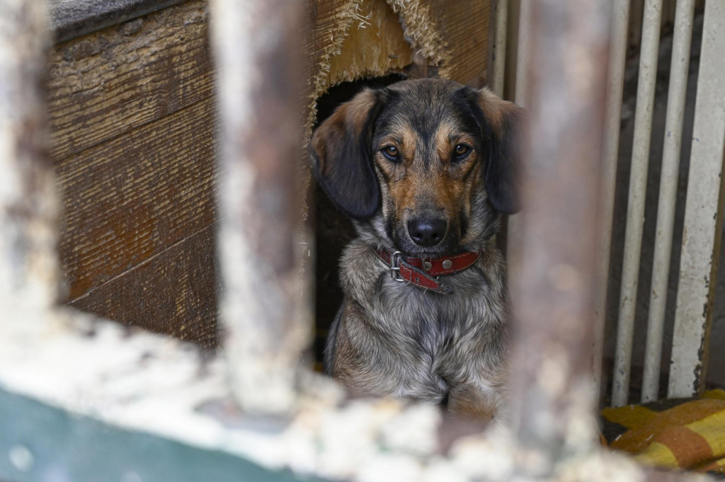 Ilustračná snímka. FOTO: TASR