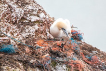 Glob&aacute;lna dohoda o plastoch sa odklad&aacute;, krajiny sa st&aacute;le nedohodli o zmene podmienok ich v&yacute;roby. FOTO: Pixabay