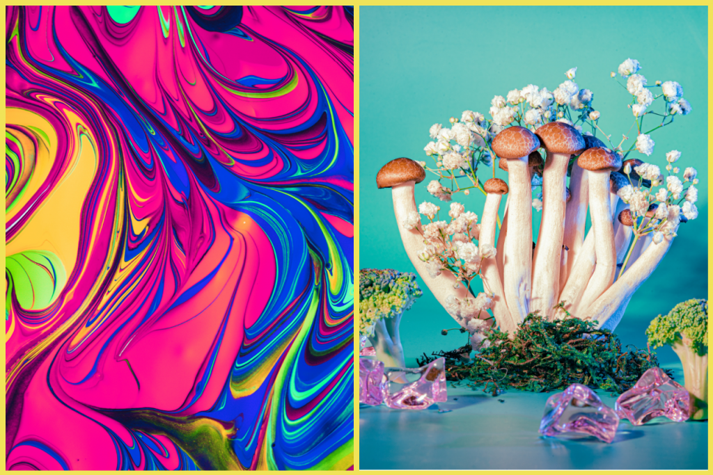 Česko sa stáva prvou krajinou v Európe, kde bude legálne predpísať psilocybín