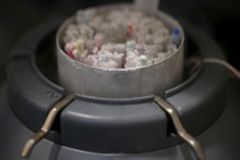 Zmrazené ampulky so spermiami. FOTO: Reuters