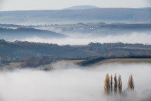 Na snímke hmla na Myjavskej pahorkatine, v pozadí na horizonte Malé Karpaty v obci Lubina, časť Miškech Dedinka, v okrese Nové Mesto nad Váhom. FOTO: TASR/Martin Medňanský