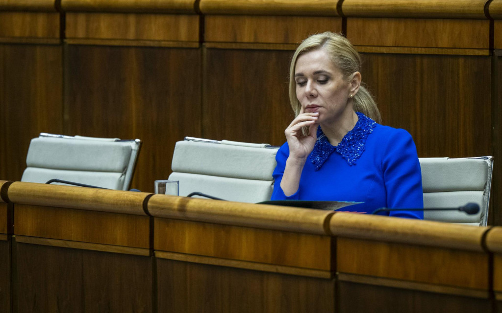 Na sn&iacute;mke ministerka hospod&aacute;rstva Denisa Sakov&aacute;.

FOTO: TASR/J. Kotian