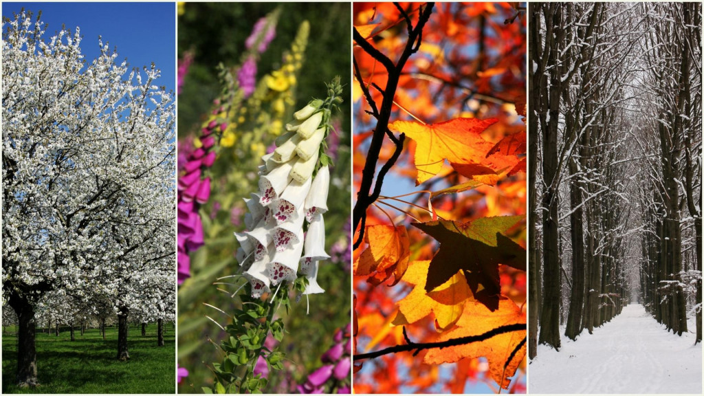 Ročn&eacute; obdobia nemaj&uacute; jednotn&yacute; rytmus.