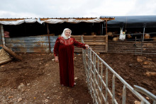 Sedemdesiatročn&aacute; bedu&iacute;nska palest&iacute;nska star&aacute; mama Rabiha Nazij sleduje, ako bola jej rodina vys&iacute;dlen&aacute; po &uacute;toku osadn&iacute;kov, ktor&iacute; im vyp&aacute;lili dom, a utiekli do palest&iacute;nskej dediny Deir Dibwan na Izraelom okupovanom Z&aacute;padnom brehu Jord&aacute;nu. FOTO: REUTERS