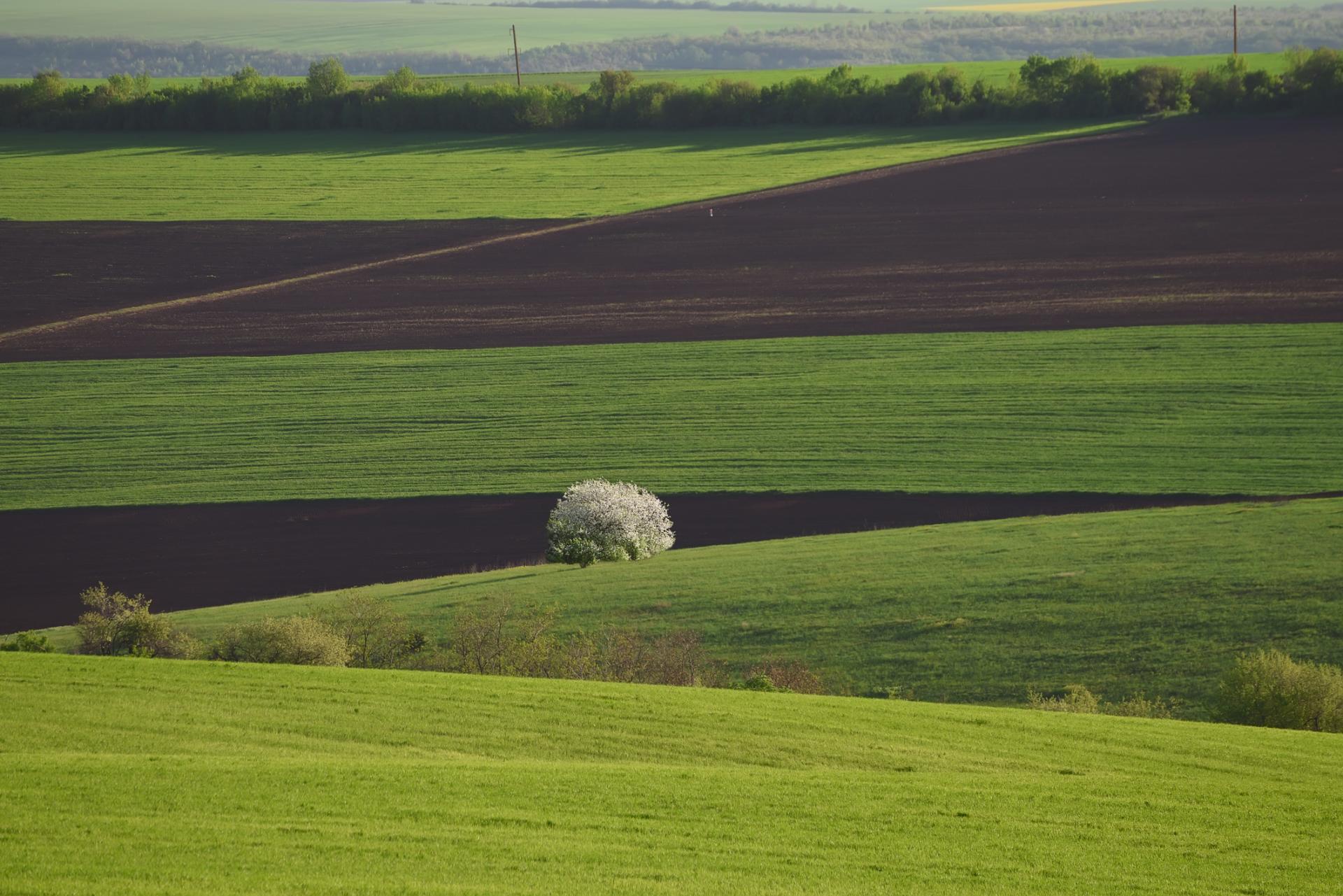 Zavedie sa nový register užívacích vzťahov: Ako zasiahne do života farmárov a vlastníkov pôdy?