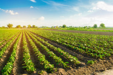 Každ&aacute; žiadosť je posudzovan&aacute; individu&aacute;lne aj podľa okolit&yacute;ch vlastn&iacute;ckych vzťahov. FOTO: Dreamstime