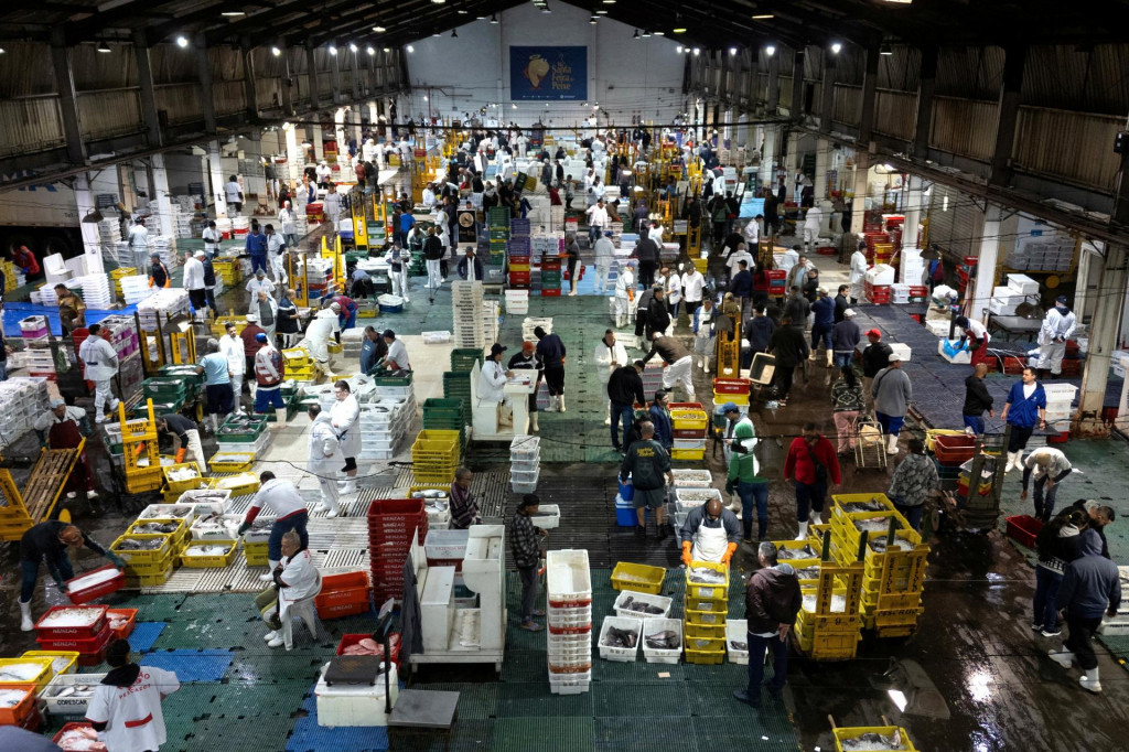 Firmy očak&aacute;vaj&uacute; pokračovanie ekonomickej aktivity aj na začiatku nov&eacute;ho roka. FOTO: Reuters