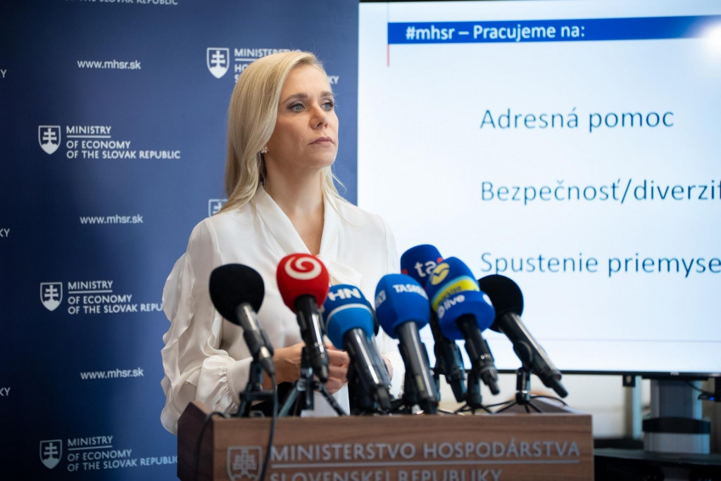 Ministerka hospod&aacute;rstva Denisa Sakov&aacute;. FOTO: Facebook/Denisa Sakov&aacute;