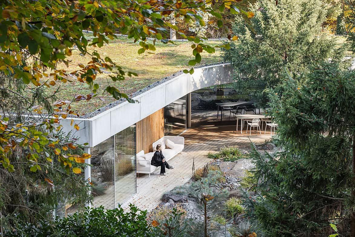 Dom Banánka splynul s lesom. Architekti ho postavili tak, aby nemuseli vyrúbať jediný strom