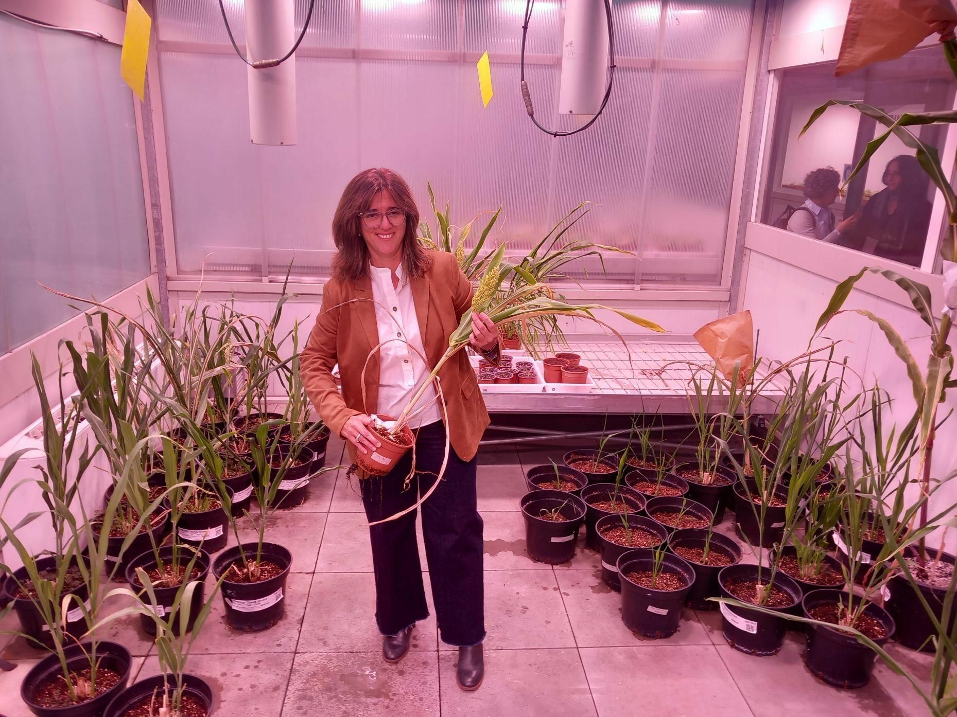 REPORTÉR HN NA CESTÁCH: Katalánci chcú byť technologickou špičkou. Lákajú vedcov z USA, ktorých sklamal Trump