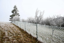 Oplotenie a stromy obalen&eacute; n&aacute;mrazou počas mraziv&eacute;ho dňa v obci Vrbovce okres Myjava. FOTO: TASR/Martin Medňansk&yacute;