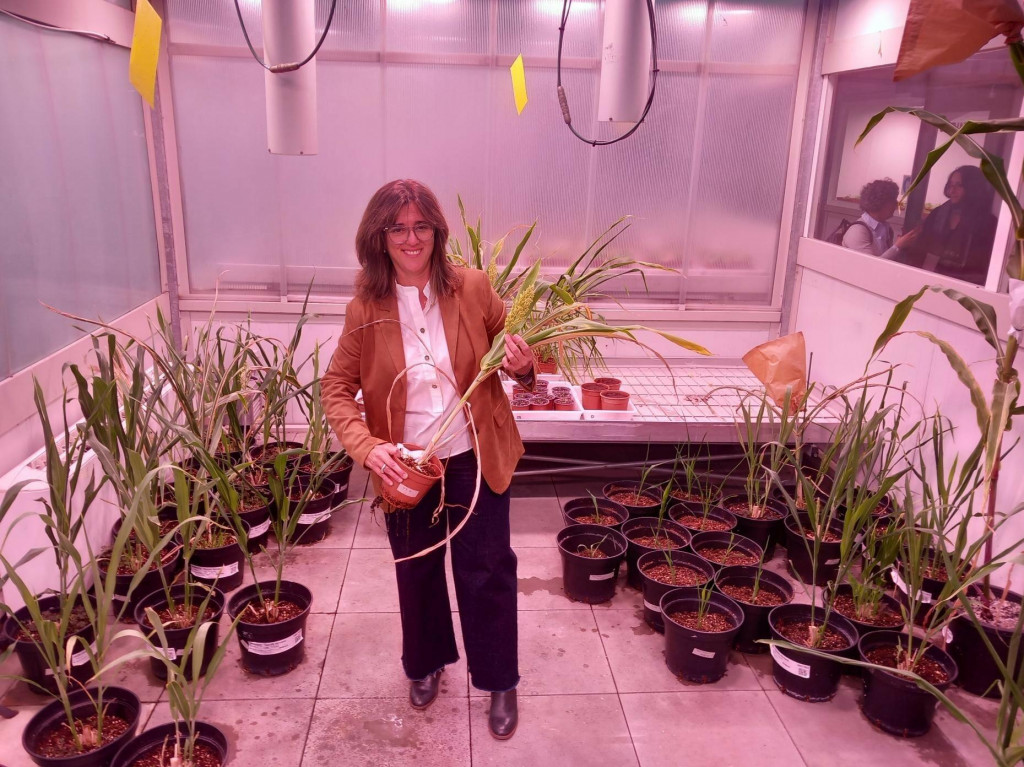 V Katal&aacute;nsku vznikaj&uacute; vďaka technol&oacute;gi&aacute;m ako je umel&aacute; inteligencia &uacute;plne nov&eacute; odrody ovocia a zeleniny. FOTO: HN/Pavel Novotn&yacute;