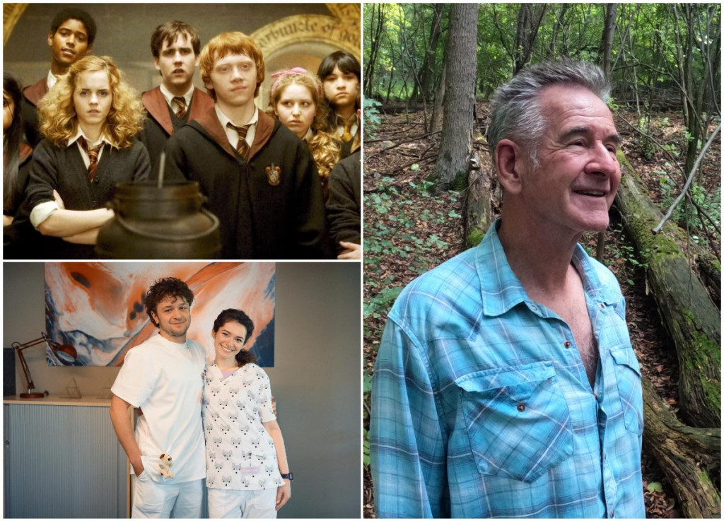 Prv&yacute; telev&iacute;zny v&iacute;kend m&aacute; svojich v&iacute;ťazov aj porazen&yacute;ch.