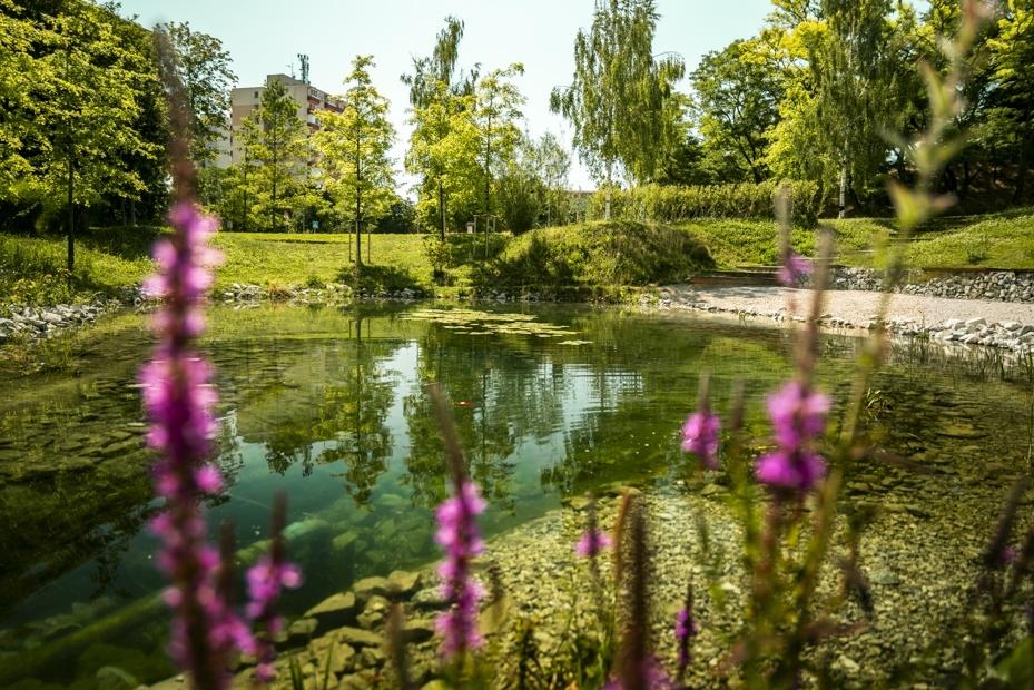Z prázdneho vnútrobloku spravili dvor, ktorý ľudí vytiahol von. Agátku môžu ostatné mestá Trnave závidieť